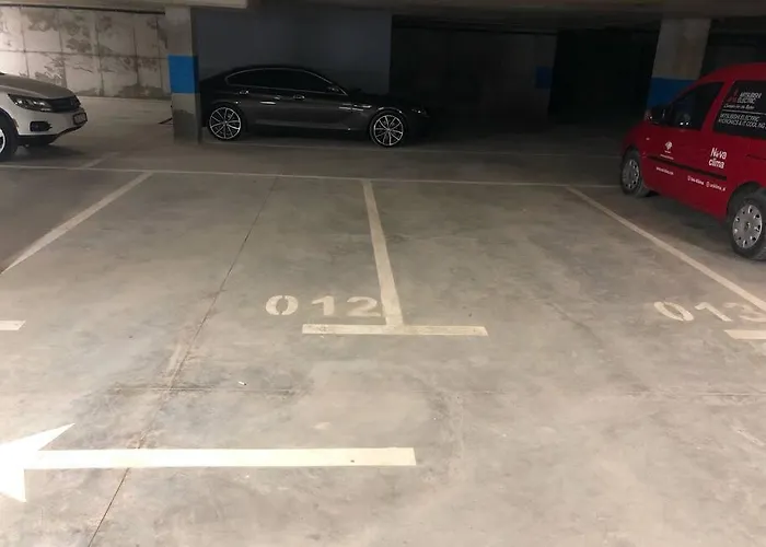 Urban Oasis Apartment